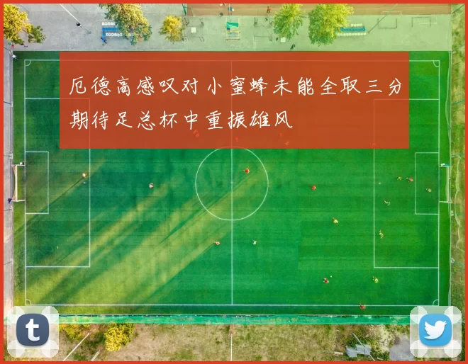 厄德高感叹对小蜜蜂未能全取三分期待足总杯中重振雄风