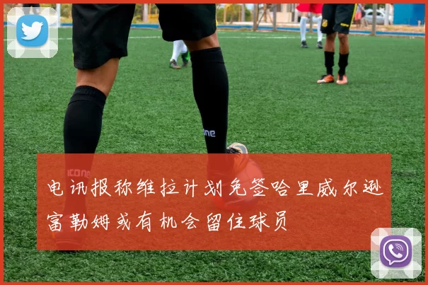 电讯报称维拉计划免签哈里威尔逊富勒姆或有机会留住球员